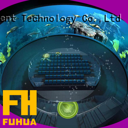 Fuhua luxury dome cinema Special design