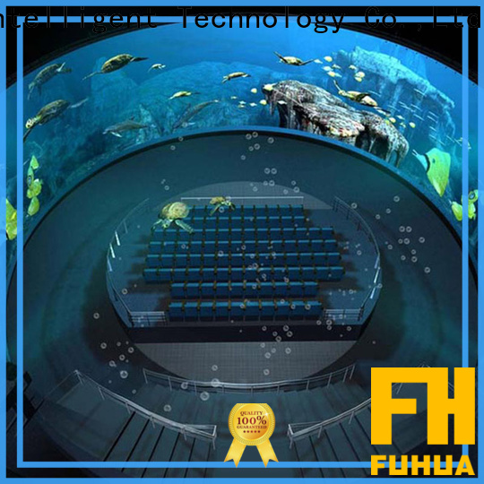 Fuhua High-tech dome cinema Projector system for museum