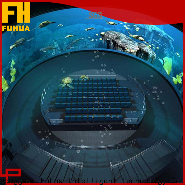 Fuhua High-tech dome cinema Projector system