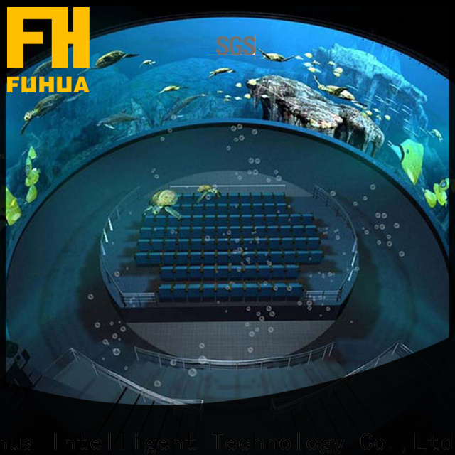 Fuhua dome dome projection wholesale