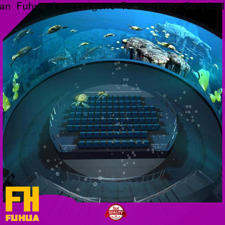 Fuhua luxury dome theater Projector system