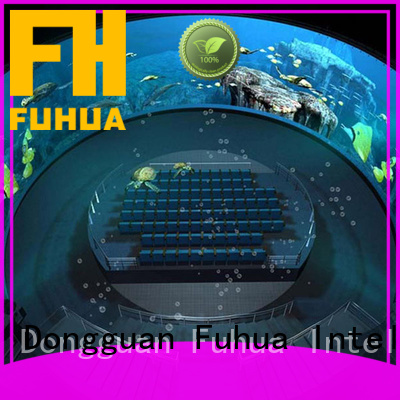 photographic dome projection fuhua wholesale