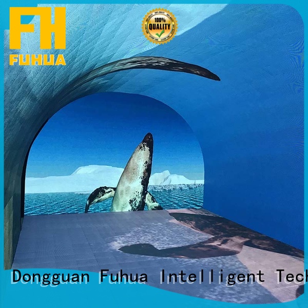 Fuhua transparent led wall screen for education for theme parks