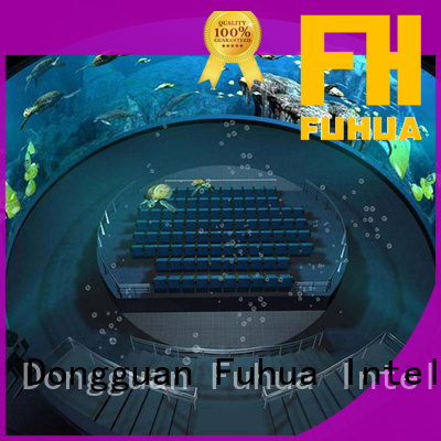 Fuhua High-tech projection dome wholesale for education