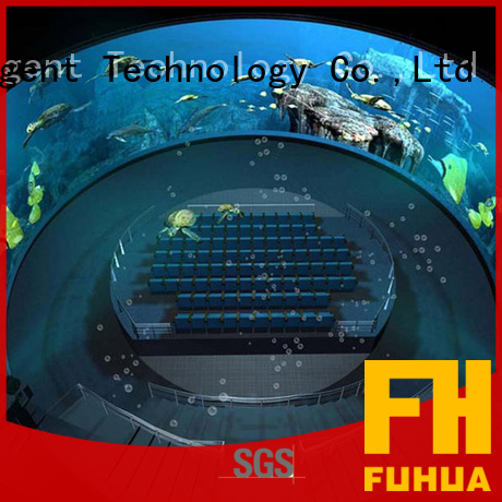 Fuhua luxury dome projection wholesale