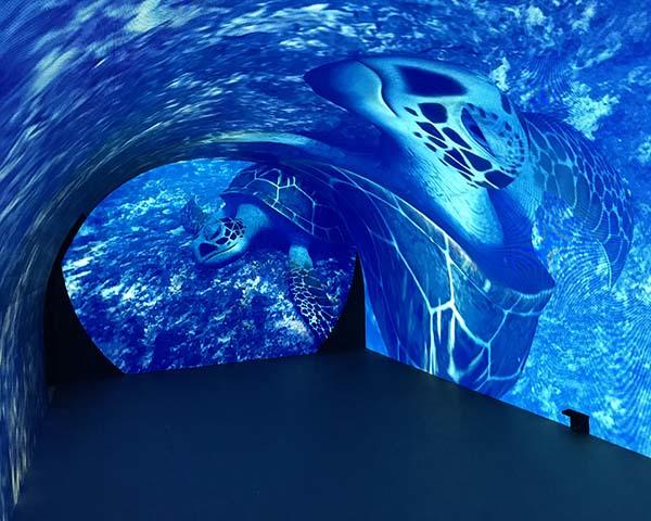 Fuhua automatic 180 degree curved projection screen floor for aquariums-1